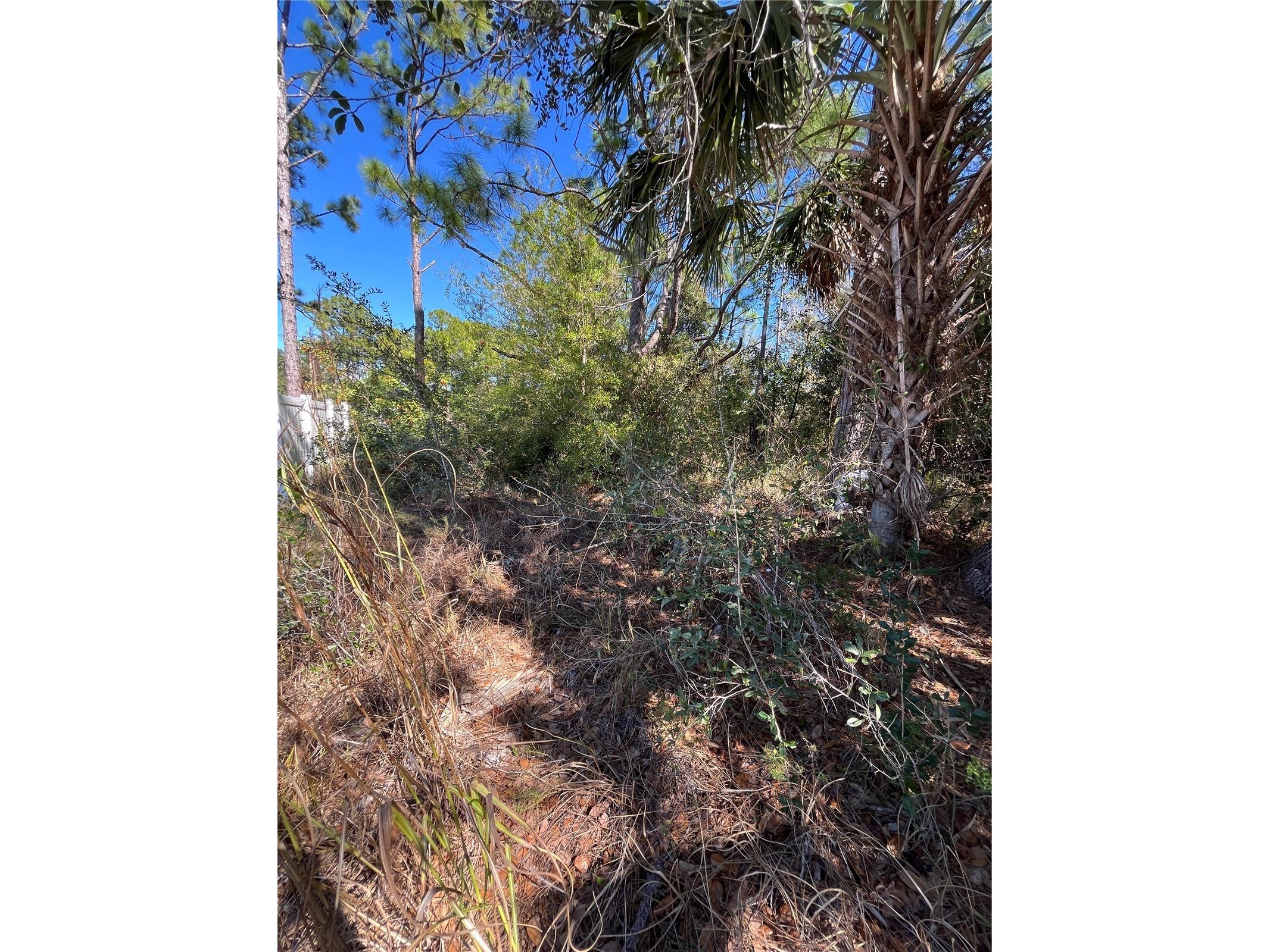 Taplin Ave North Port FL 34291 O6407547 image6