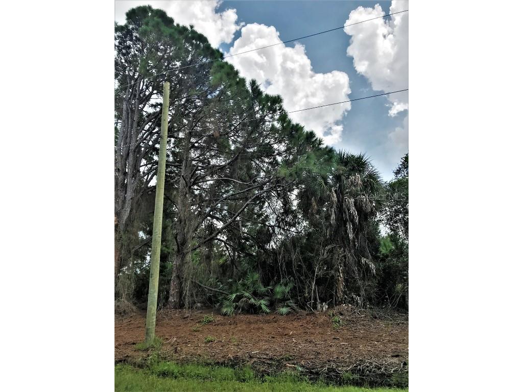 Taplin Avenue North Port FL 34291 A4511422 image1