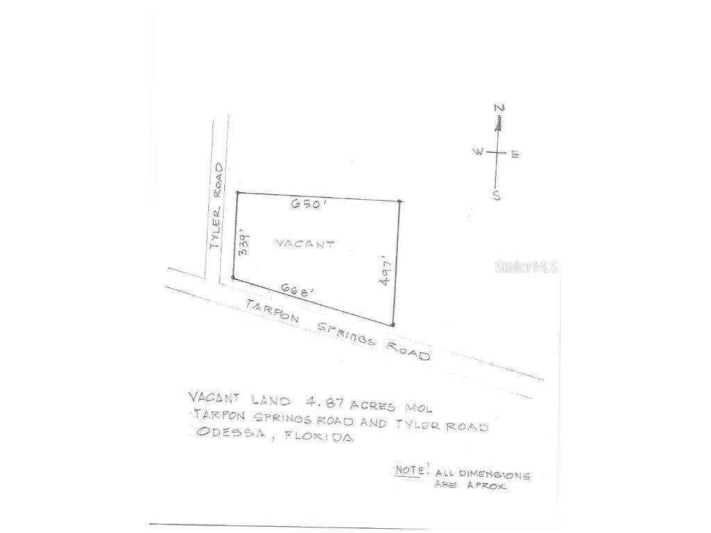 Tarpon Springs Rd. Odessa FL 33556 T3435909 image1