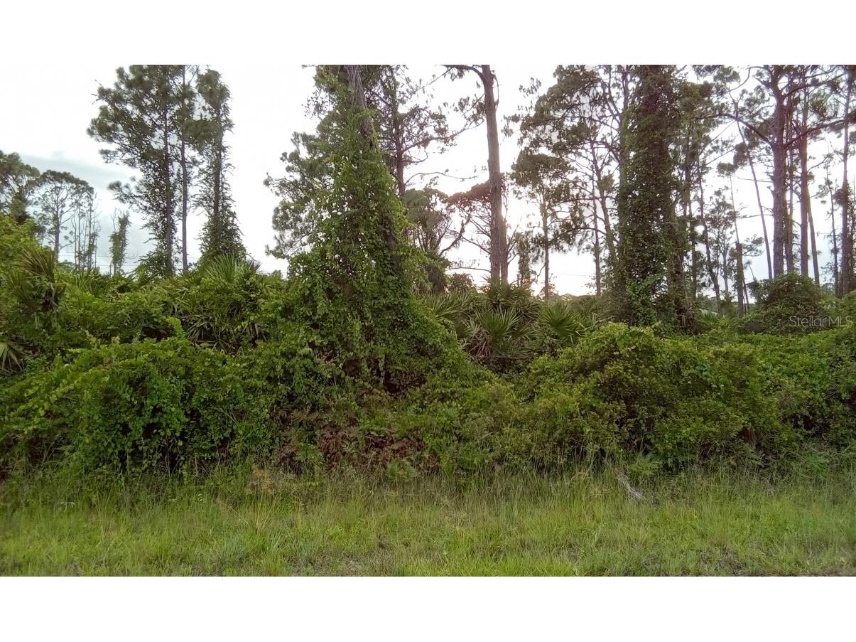 Tasco Drive #LOT-18 North Port FL 34291 O6139590 image1