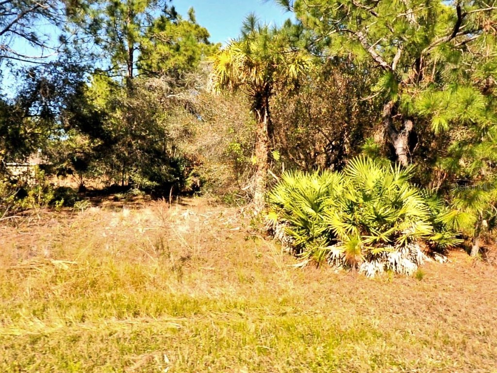 Tasco Lot #10 Drive North Port FL 34291 C7502312 image1