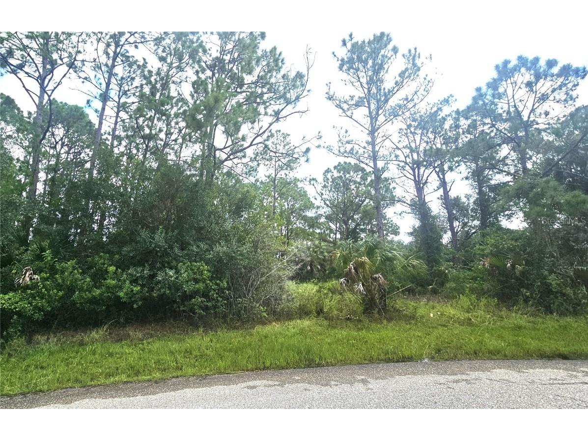 Tasco Lots 2 3 & 4 Drive North Port FL 34291 C7496273 image1