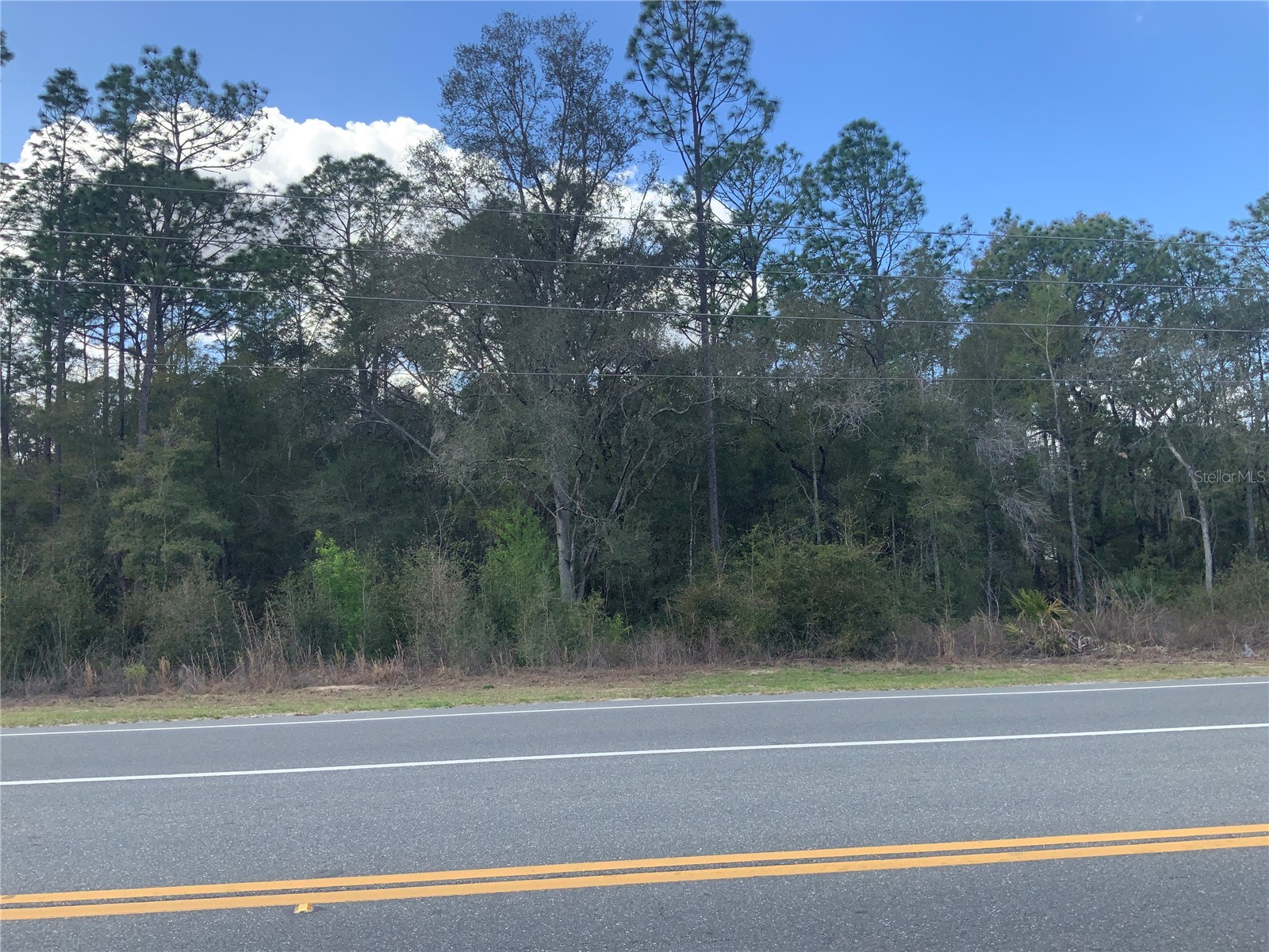 Tba Hwy 41 Dunnellon FL 34432 OM720114 image1