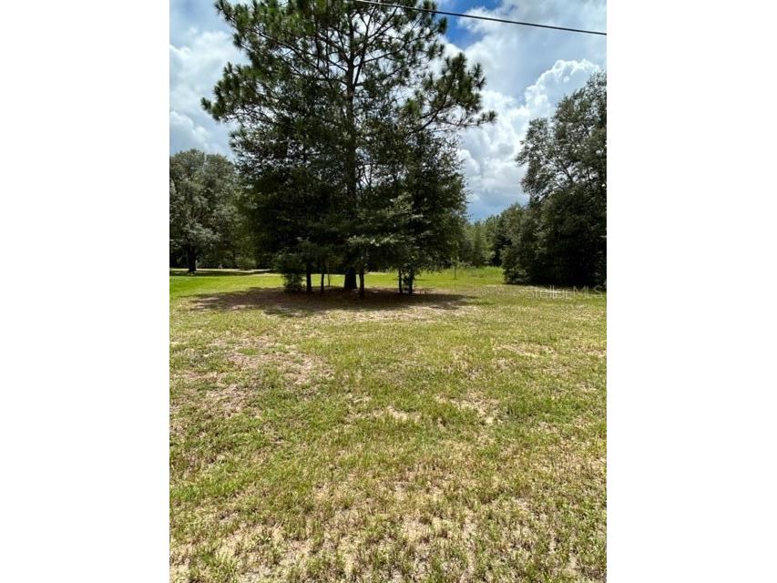 Tba Sw 31st Place Ocala FL 34471 OM661851 image1