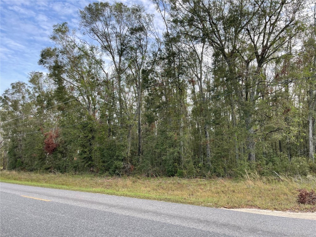 Tbd 165th Rd Road Mc Alpin FL 32062 GC526238 image1