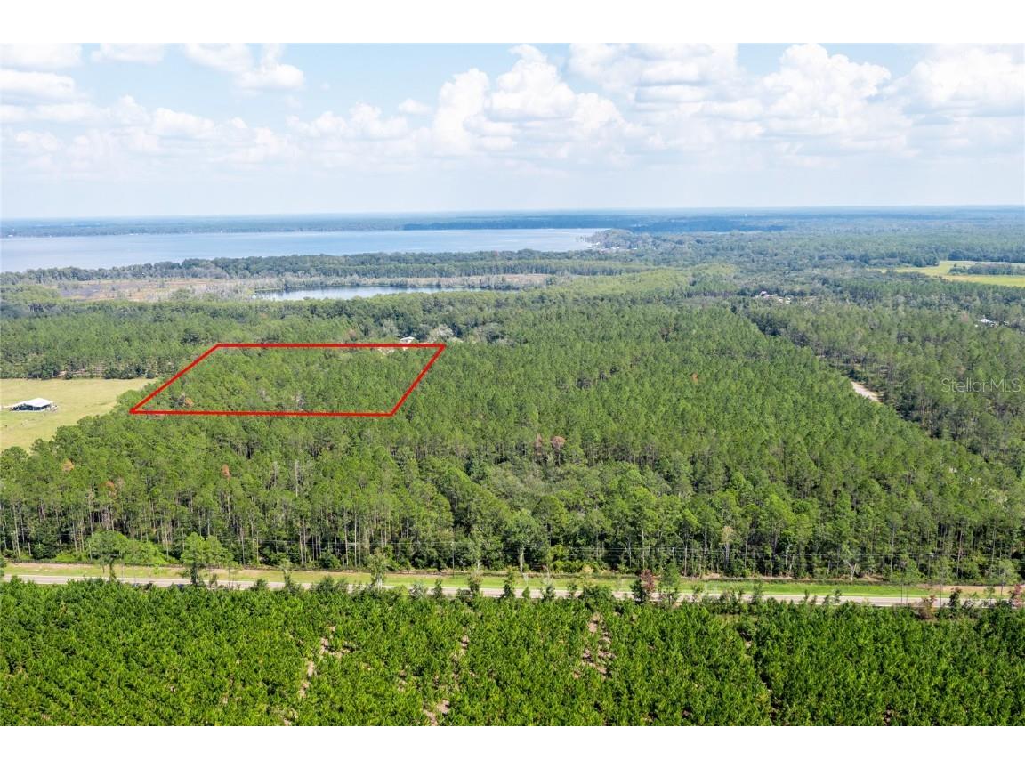 Tbd County Road 1469 Earleton FL 32631 TB8431897 image1
