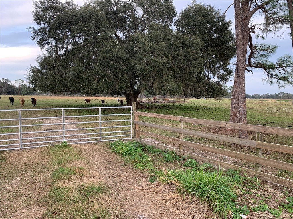 Tbd Cr 469 Center Hill FL 33514 O6174268 image1