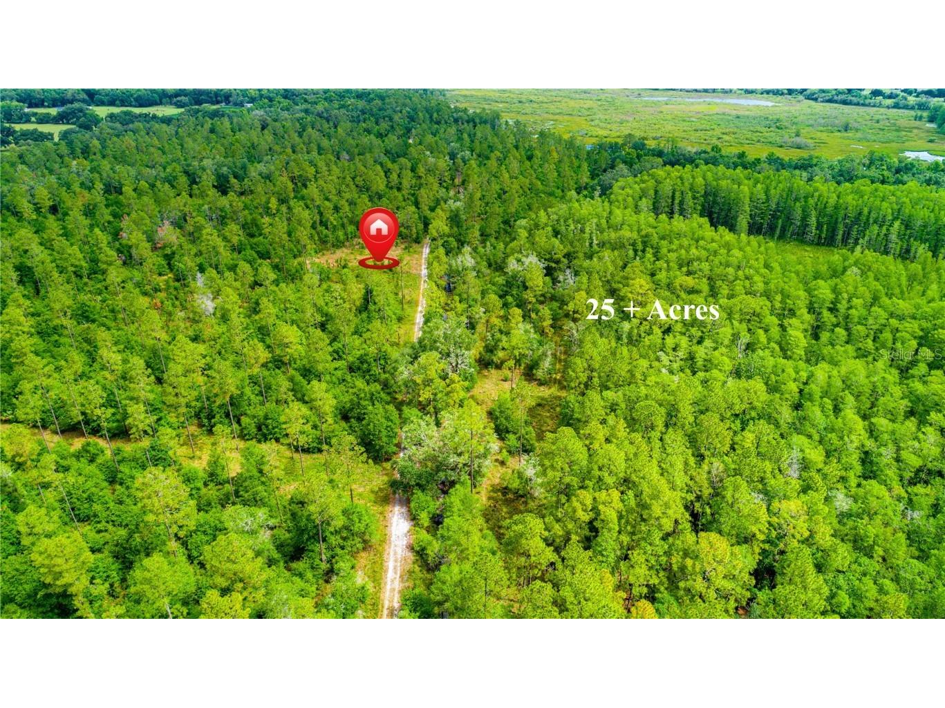 Tbd Cr 719 Webster FL 33597 G5069452 image1