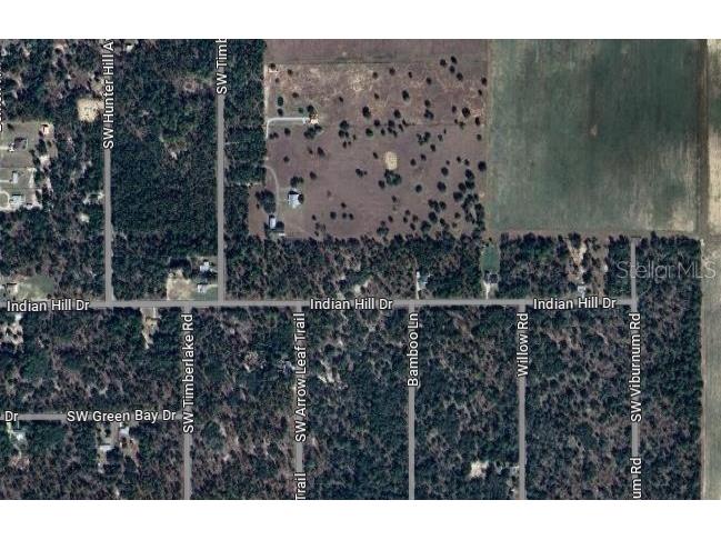 Tbd Dunnellon FL 34433 J973878 image1