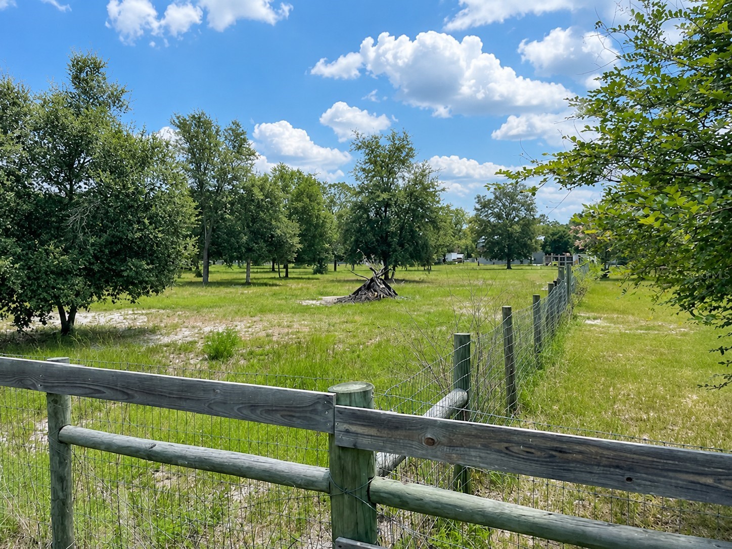 Tbd Dunnellon FL 34432 OM726505 image4