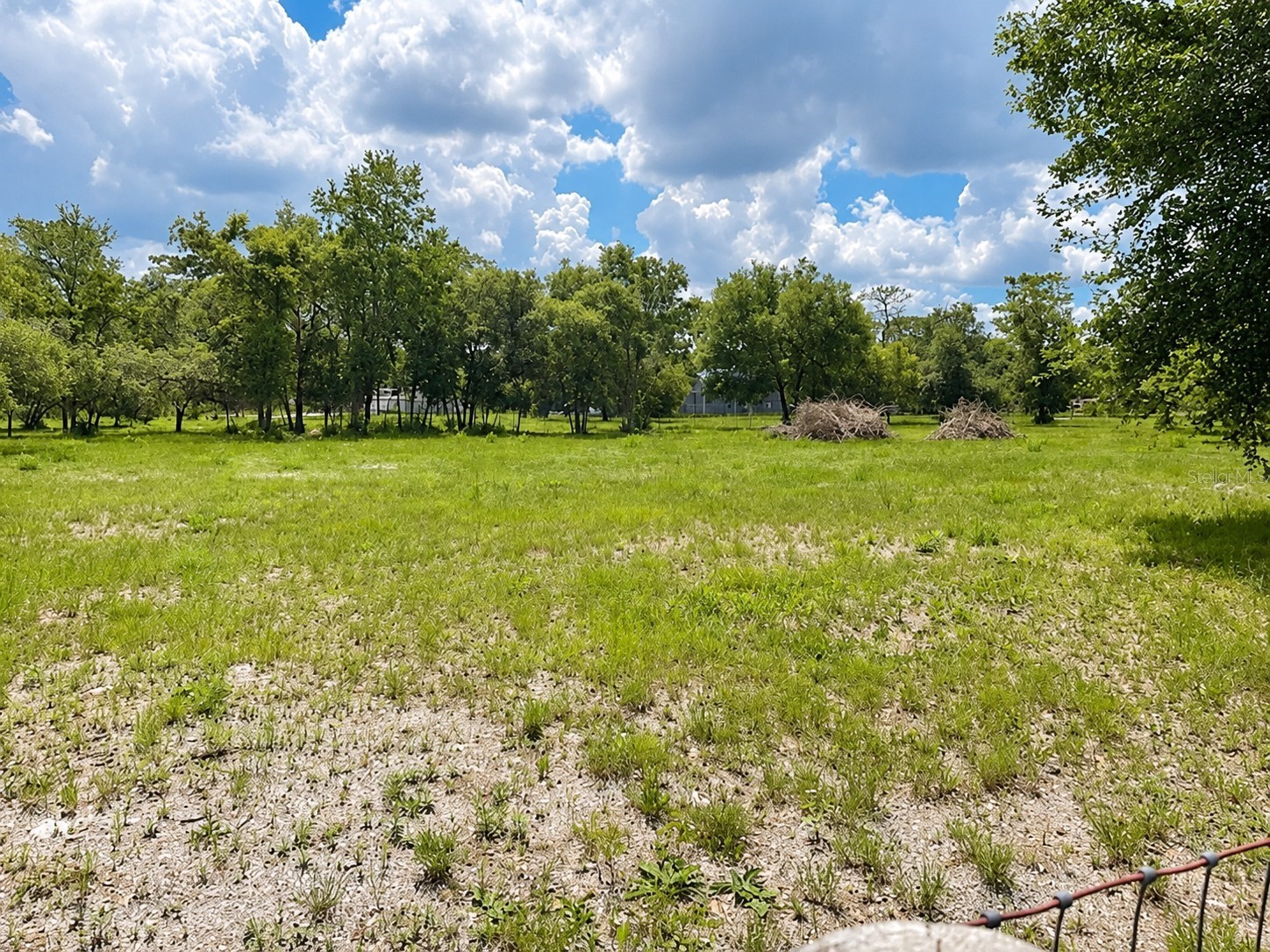 Tbd Dunnellon FL 34432 OM726505 image5