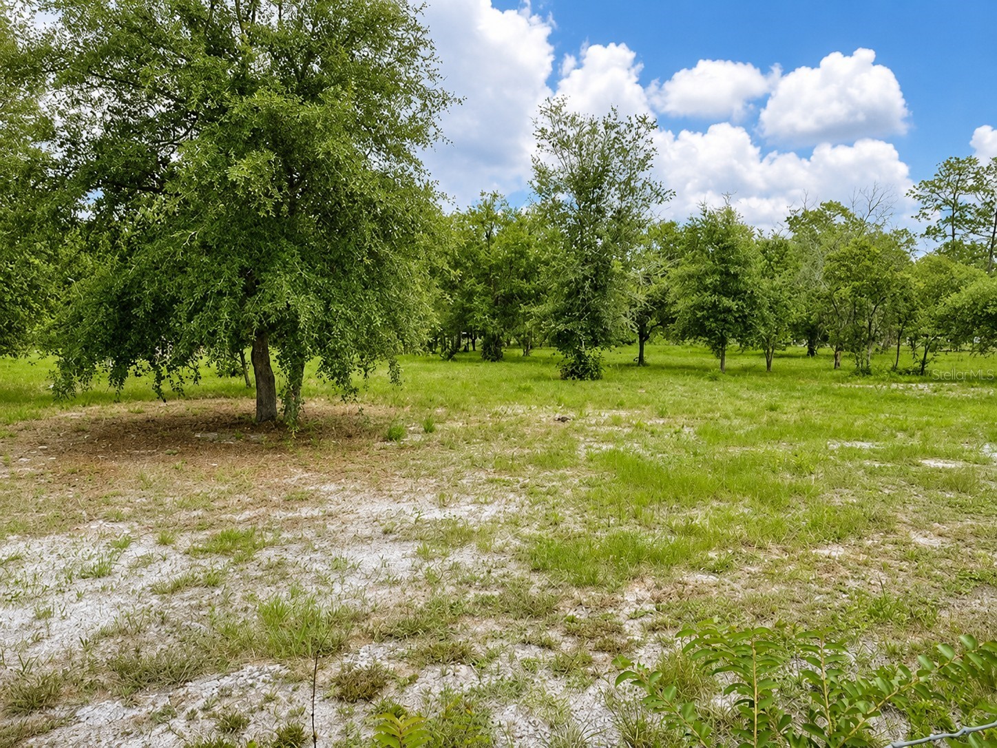 Tbd Dunnellon FL 34432 OM726534 image3