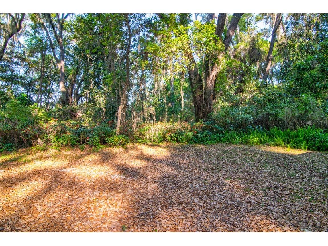 Tbd, Earleton, FL, 32631 MLS GC520530 Edina Realty