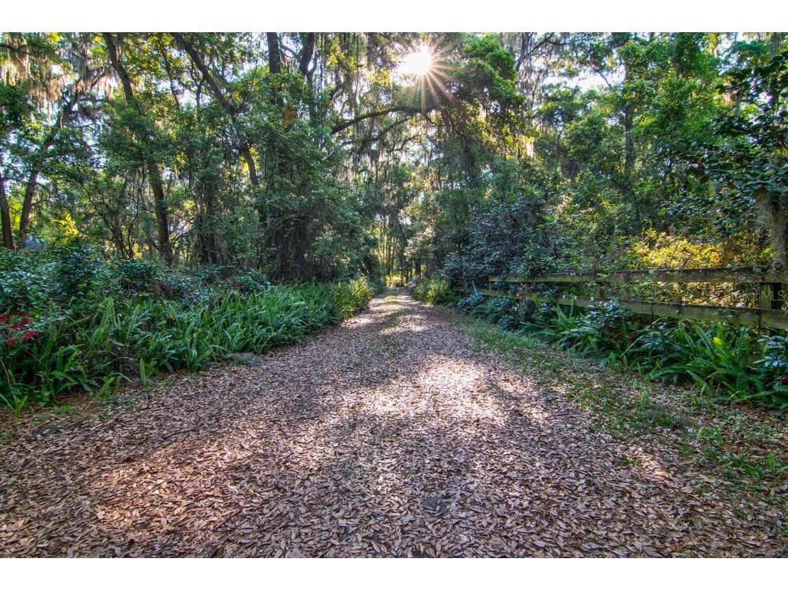 Tbd, Earleton, FL, 32631 MLS GC520530 Edina Realty