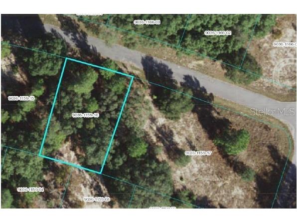 Tbd Fisher Way Pass Ocklawaha FL 32179 O6114240 image1