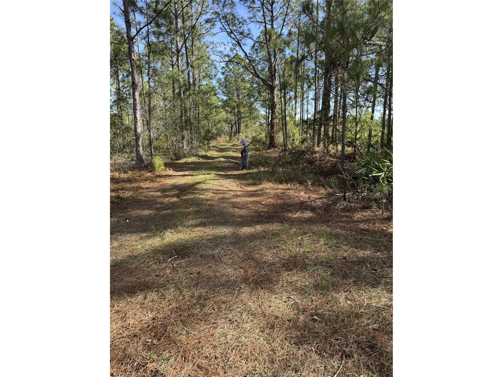 Tbd Frostproof FL 33843 OM727335 image1