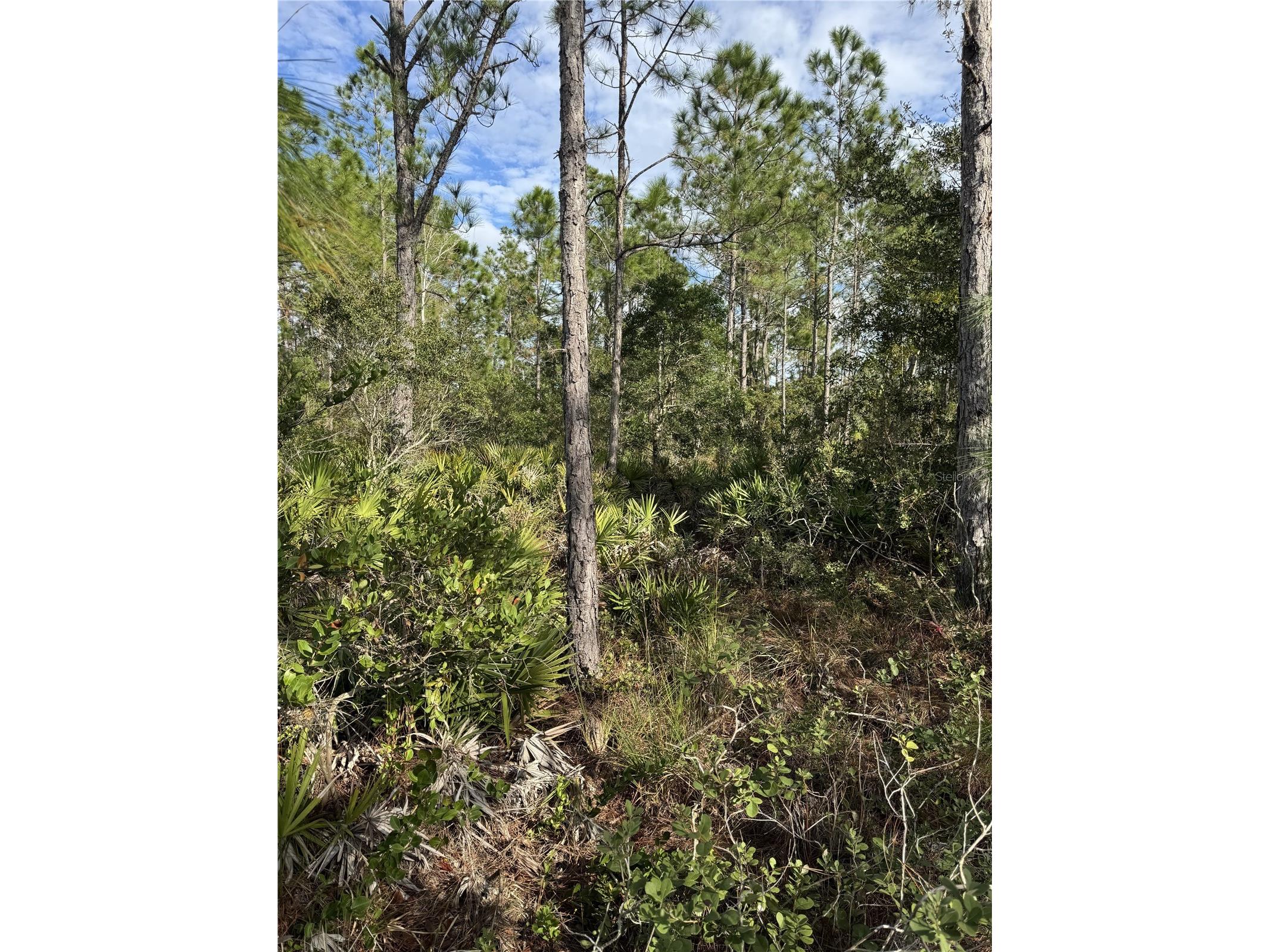 Tbd Frostproof FL 33843 OM727335 image5