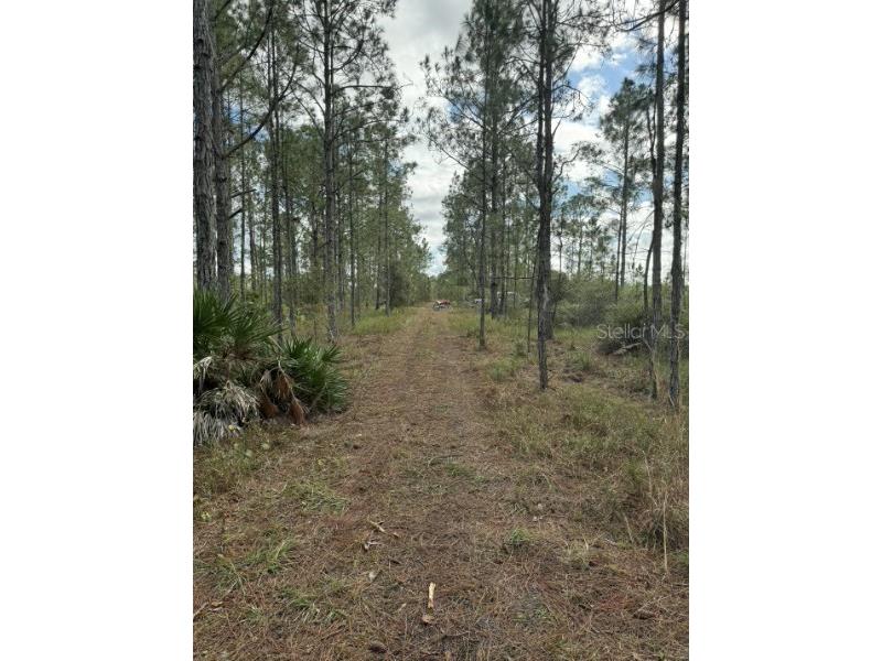 Tbd Frostproof FL 33843 OM727335 image6