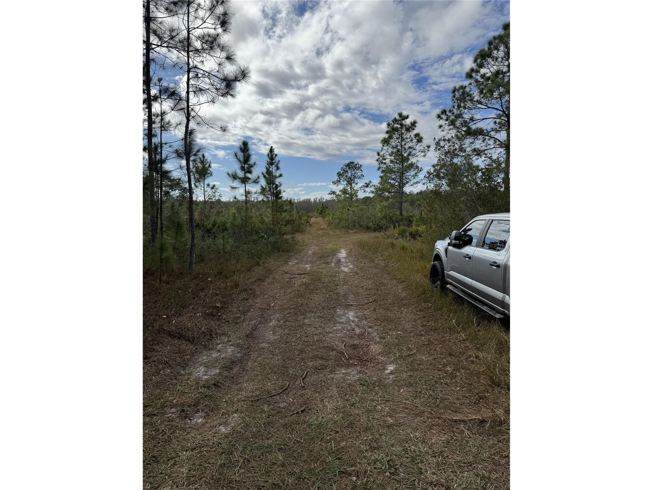 Tbd Frostproof FL 33843 OM727335 image7