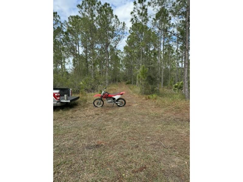 Tbd Frostproof FL 33843 OM727335 image8