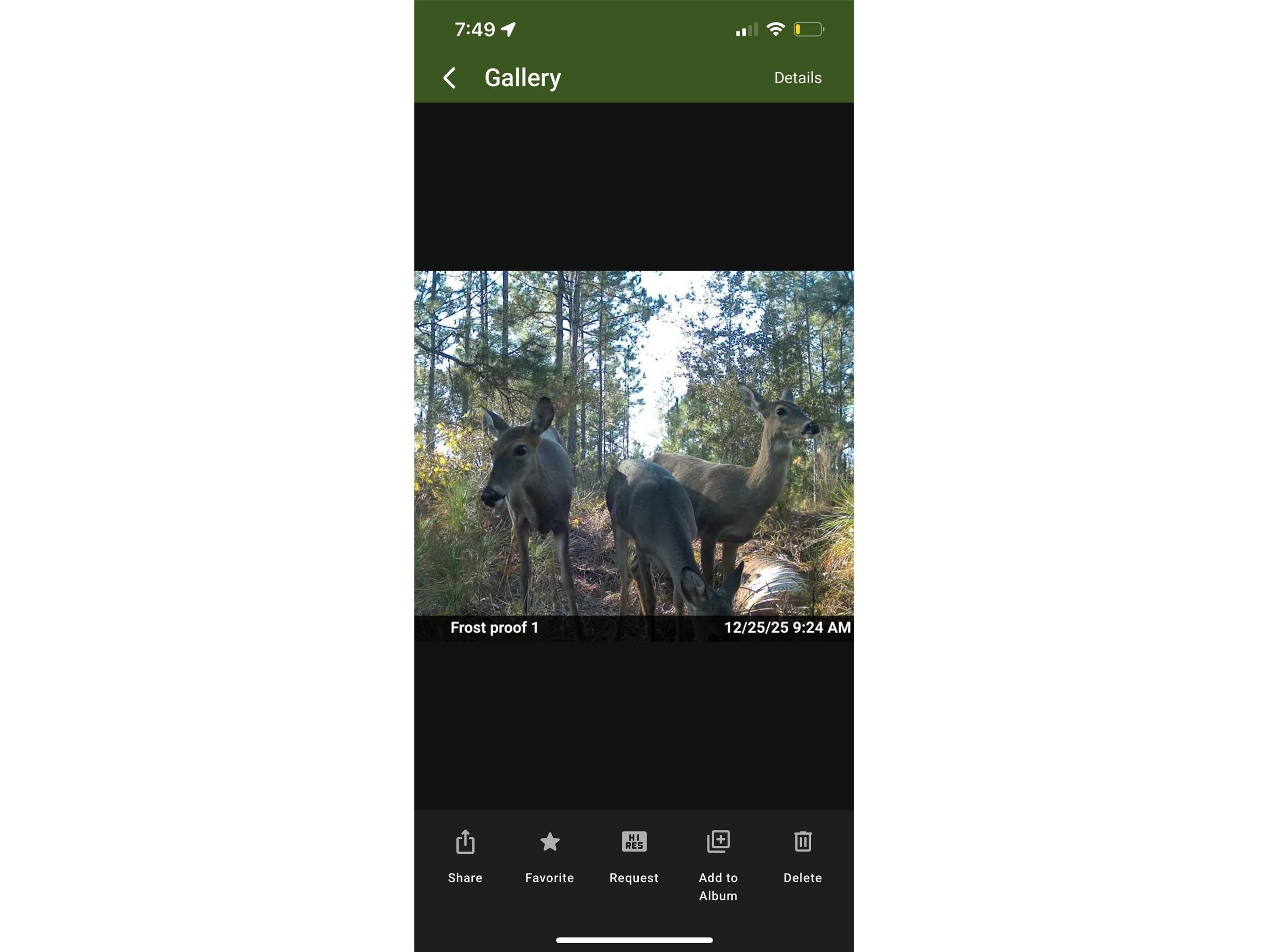 Tbd Frostproof FL 33843 OM727335 image9