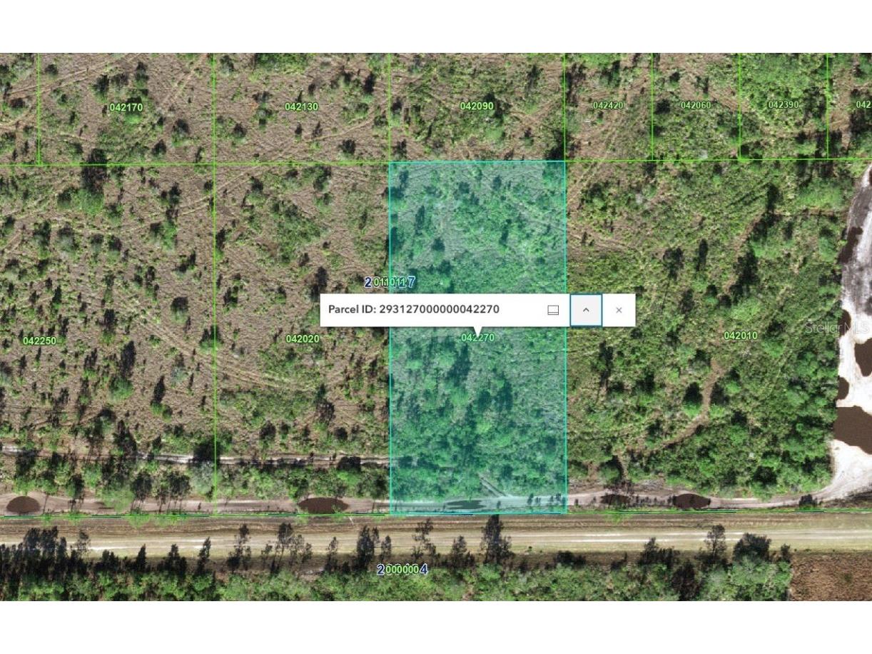 Tbd Frostproof FL 33843 TB8392245 image2