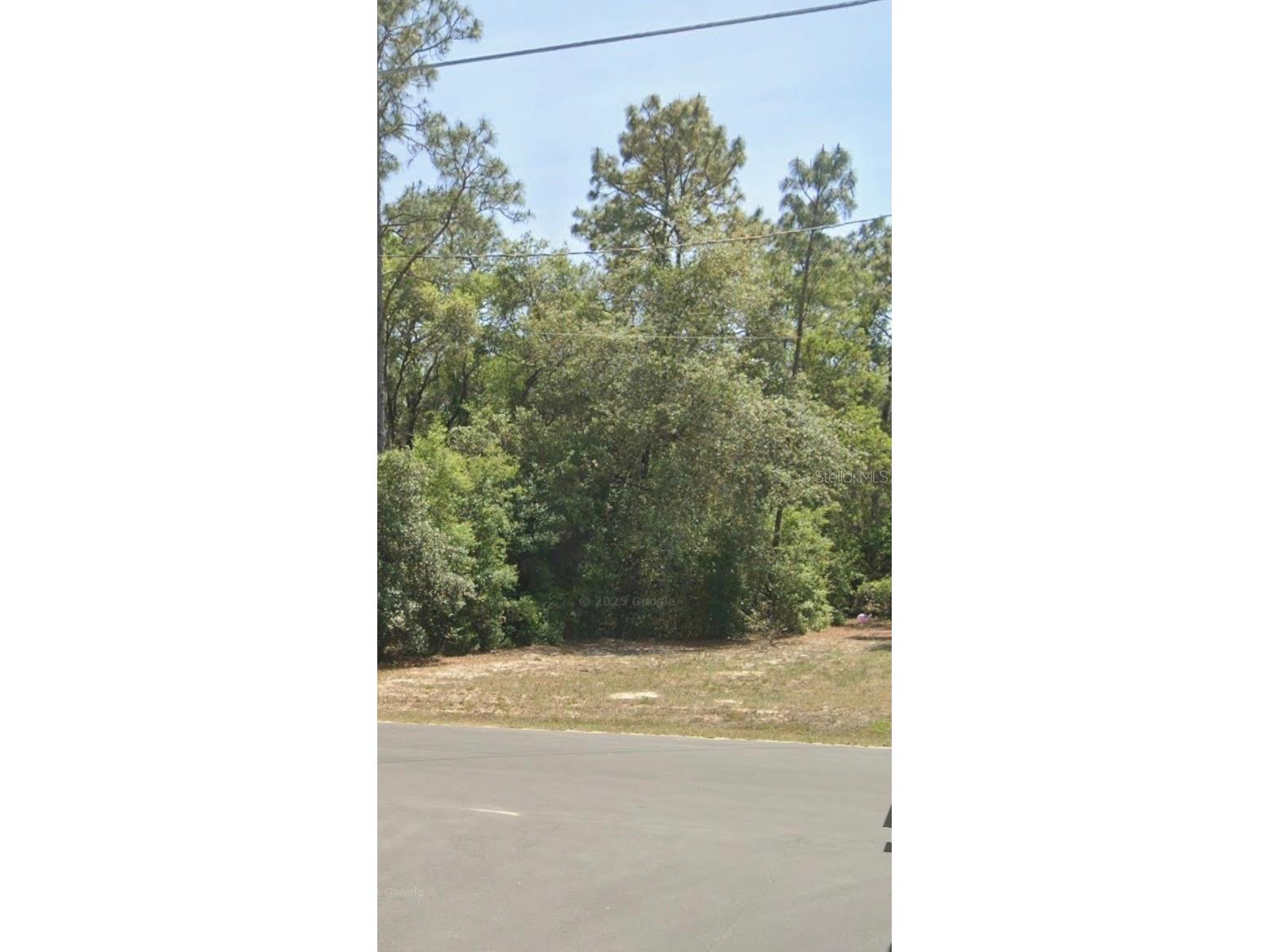 Tbd Locust Trak 34472 Ocala FL 34472 GC540271 image1