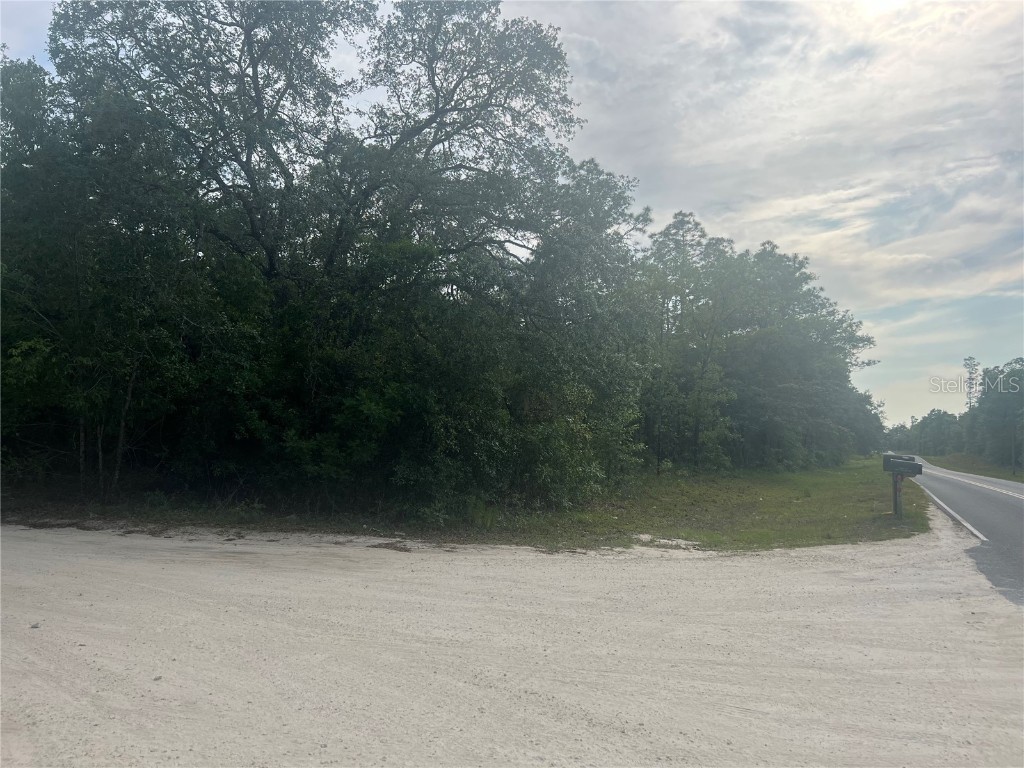 Tbd Ne 102nd Ct Bronson FL 32621 GC513231 image1