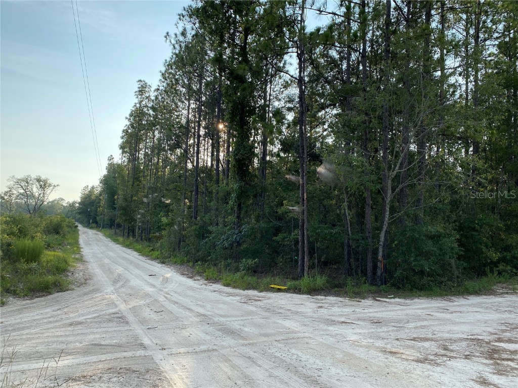 Tbd Ne 110th Ave. Bronson FL 32621 S5089336 image1