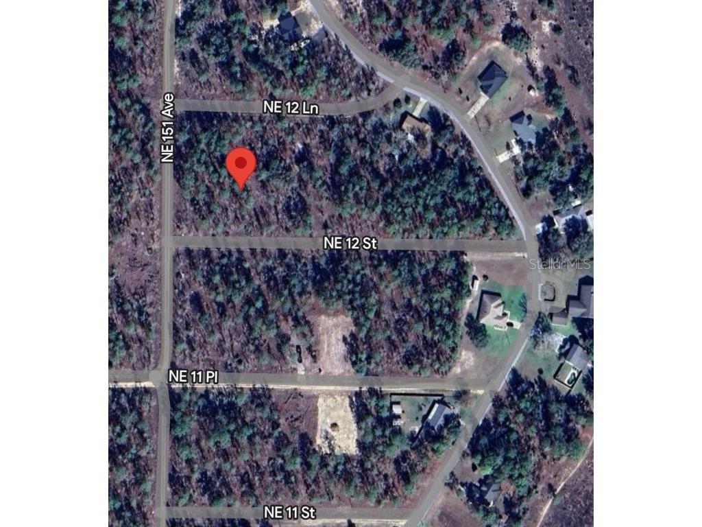 Tbd Ne 12 Street Williston FL 32696 S5139560 image1