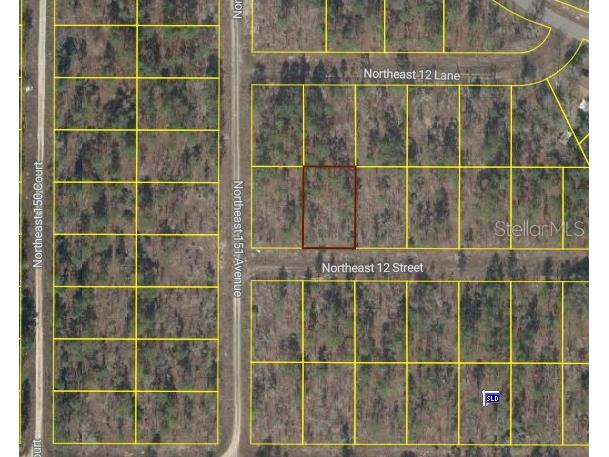 Tbd Ne 12 Street Williston FL 32696 S5139560 image3