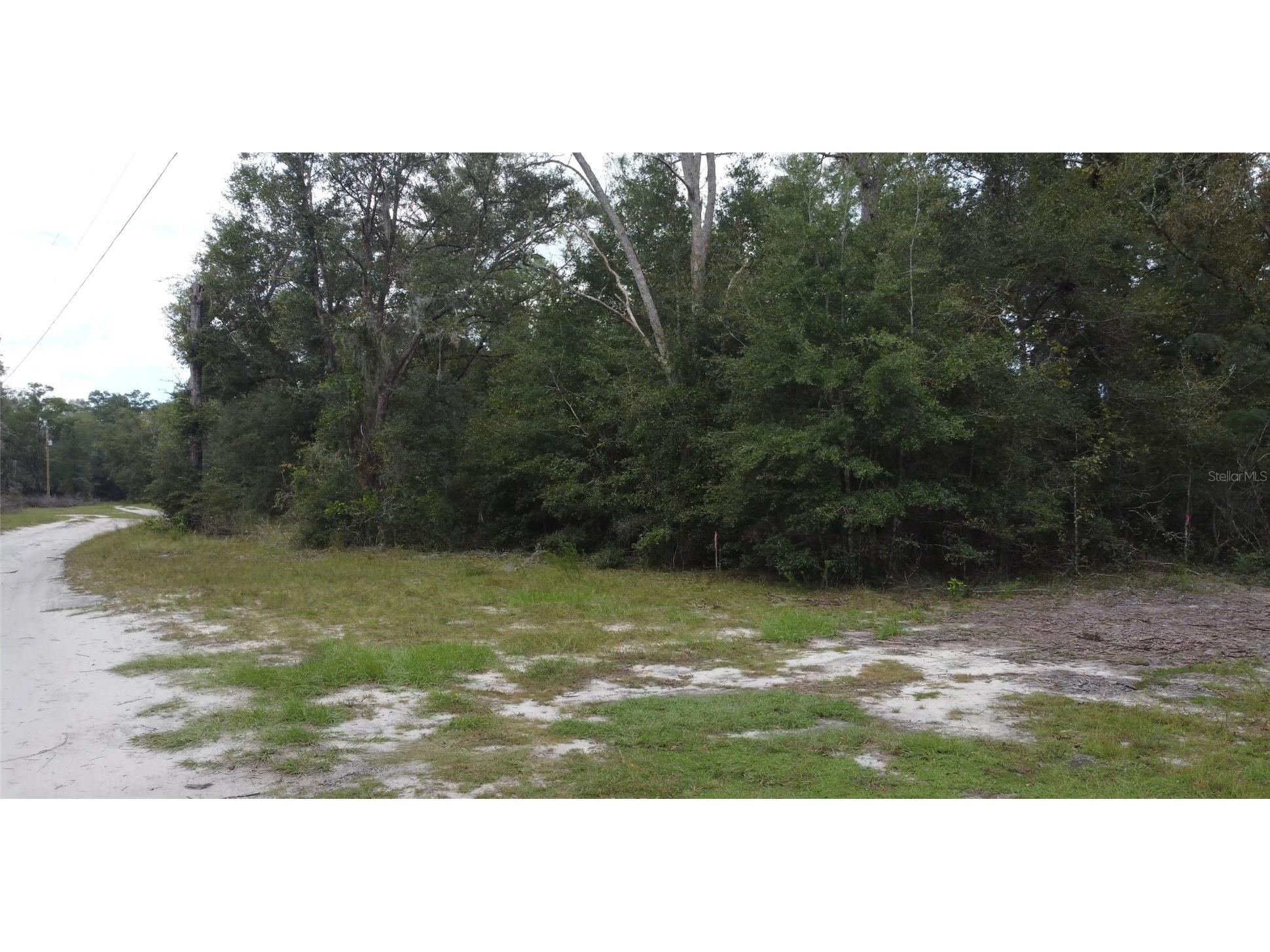 Tbd Ne 127th Pl Bronson FL 32621 OM686919 image1