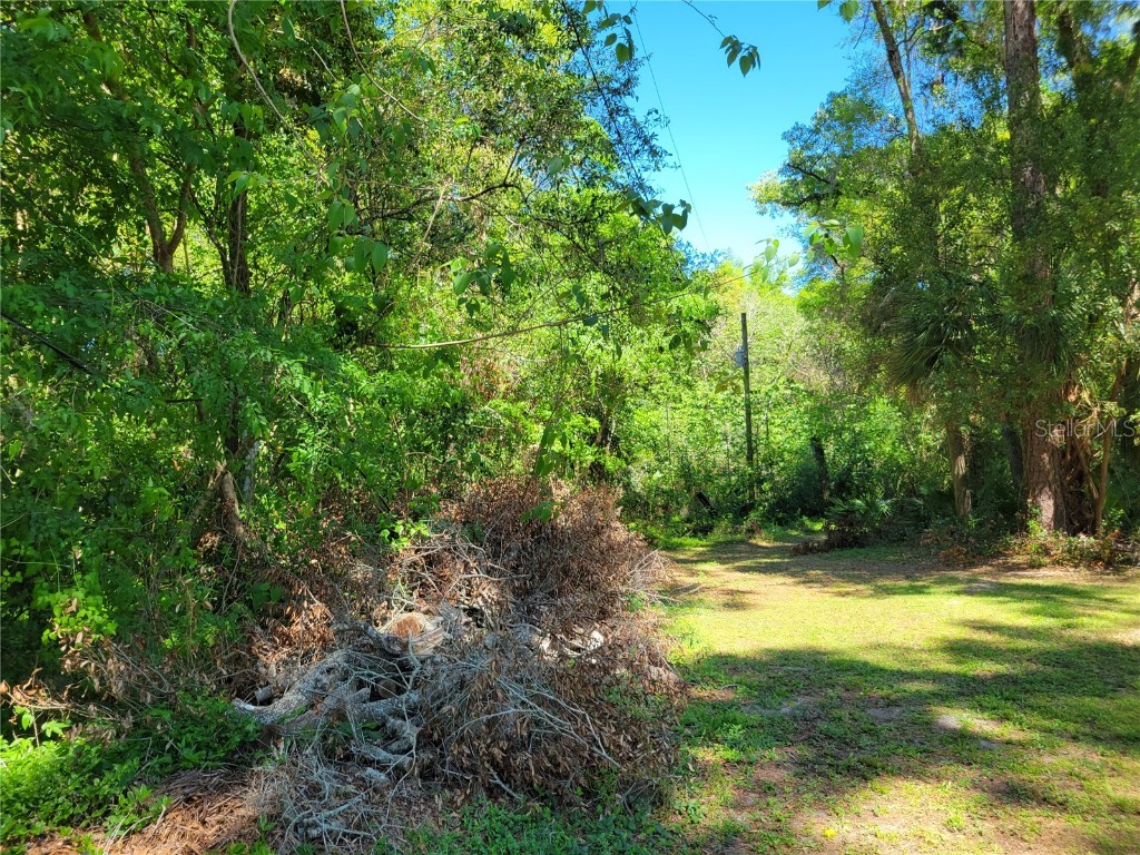 Tbd Ne 13th Ave Ocala FL 34470 OM655341 image1