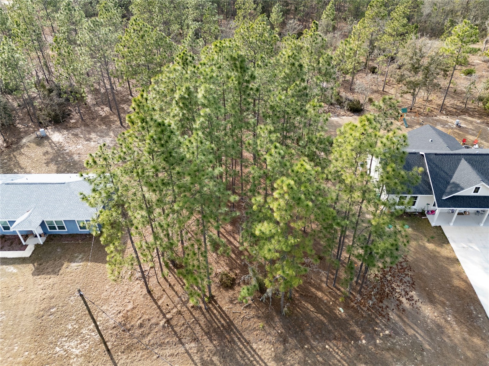 Tbd Ne 150th Avenue Williston FL 32696 OM718655 image1