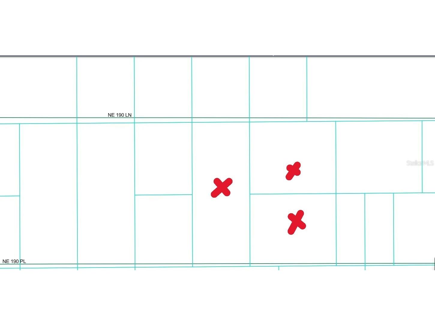 Tbd Ne 190th Ln Fort Mc Coy FL 32134 OM711128 image3