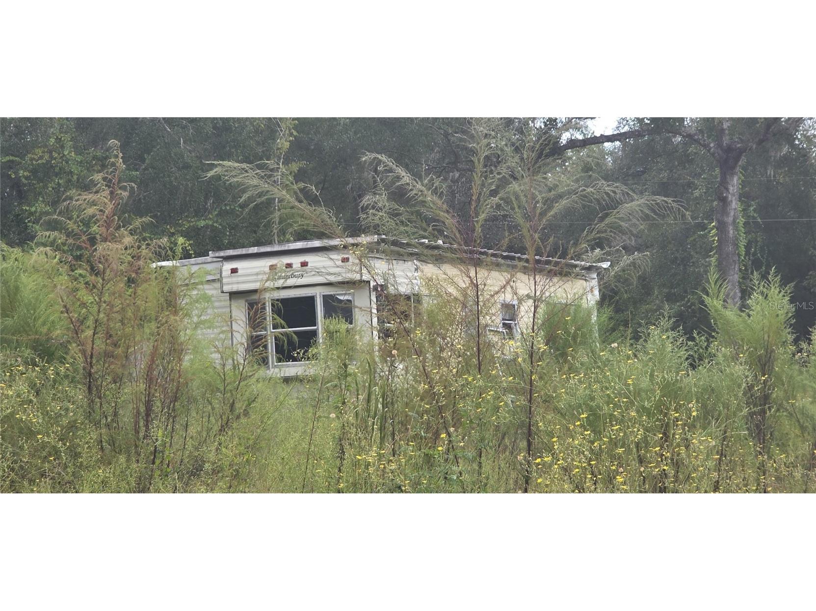 Tbd Ne 190th Ln Fort Mc Coy FL 32134 OM711128 image4