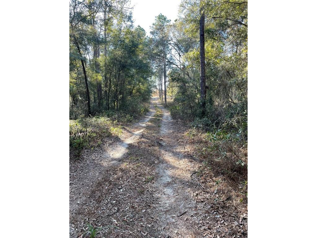 Tbd Ne 69th Place Bronson FL 32621 GC519131 image1