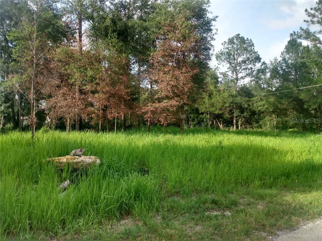 Tbd Nw 112th. Court Court Ocala FL 34482 J965984 image1