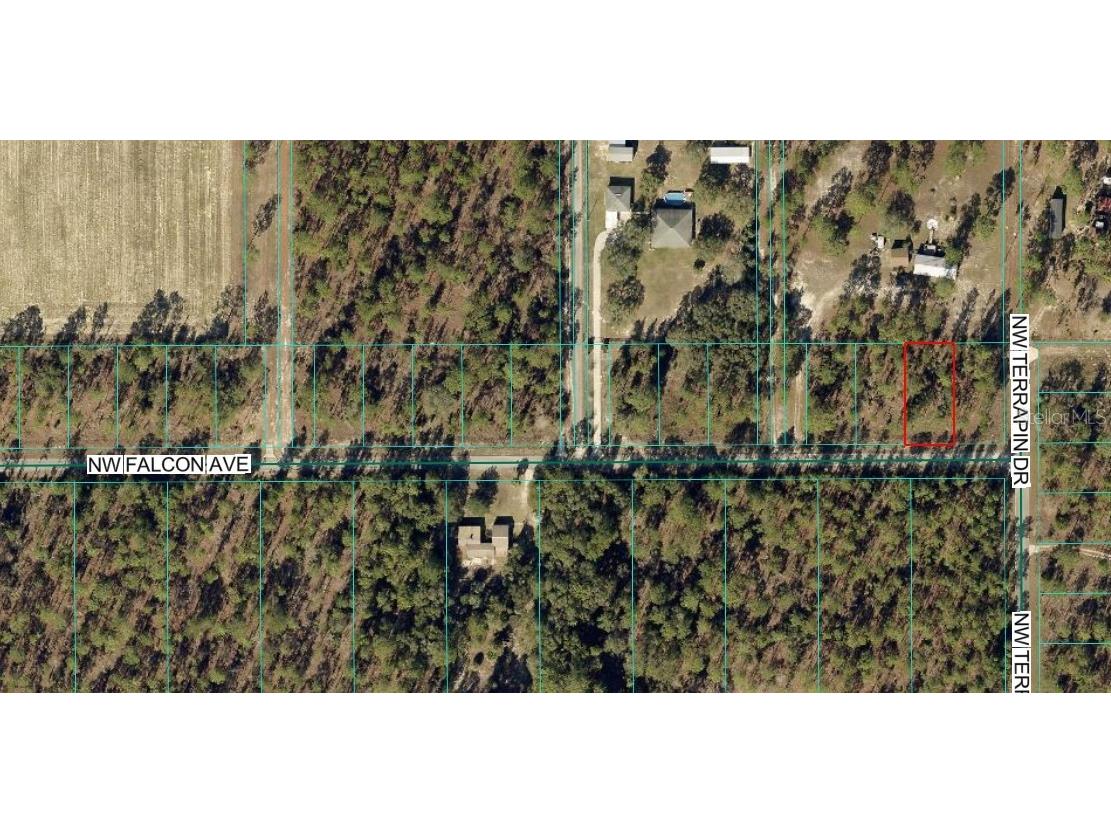 Tbd Nw Falcon Ave Lot 33 Dunnellon FL 34431 OM720126 image1