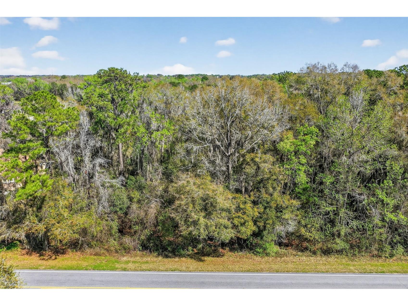 Tbd Nw Hwy 225a Reddick FL 32686 OM720318 image5