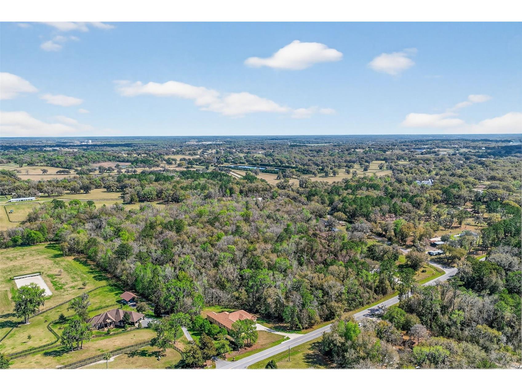 Tbd Nw Hwy 225a Reddick FL 32686 OM720318 image7