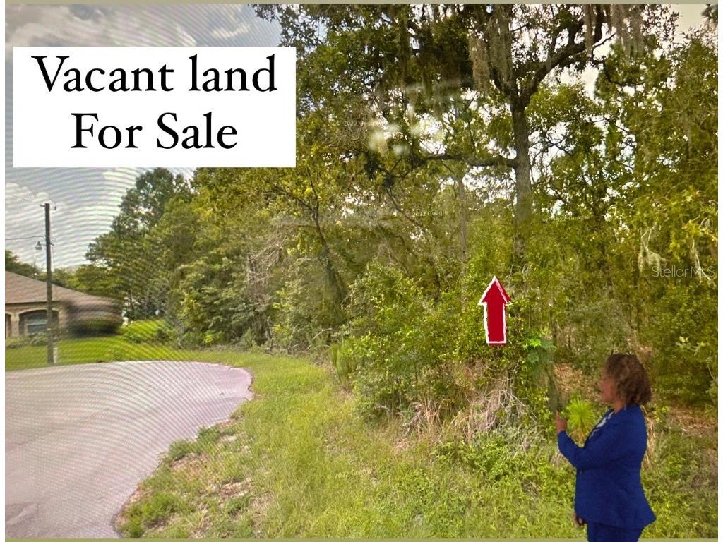 Tbd Ocala FL 34472 S5118768 image1