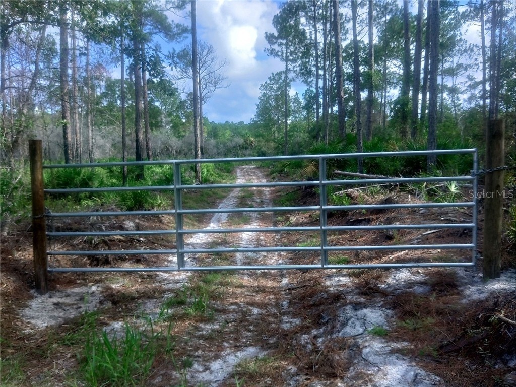 Tbd - Pid 3514130902303601 Cedar Key FL 32625 TB8418342 image4