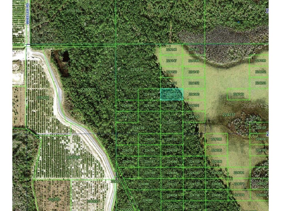 Tbd Polk City FL 33868 TB8467945 image1