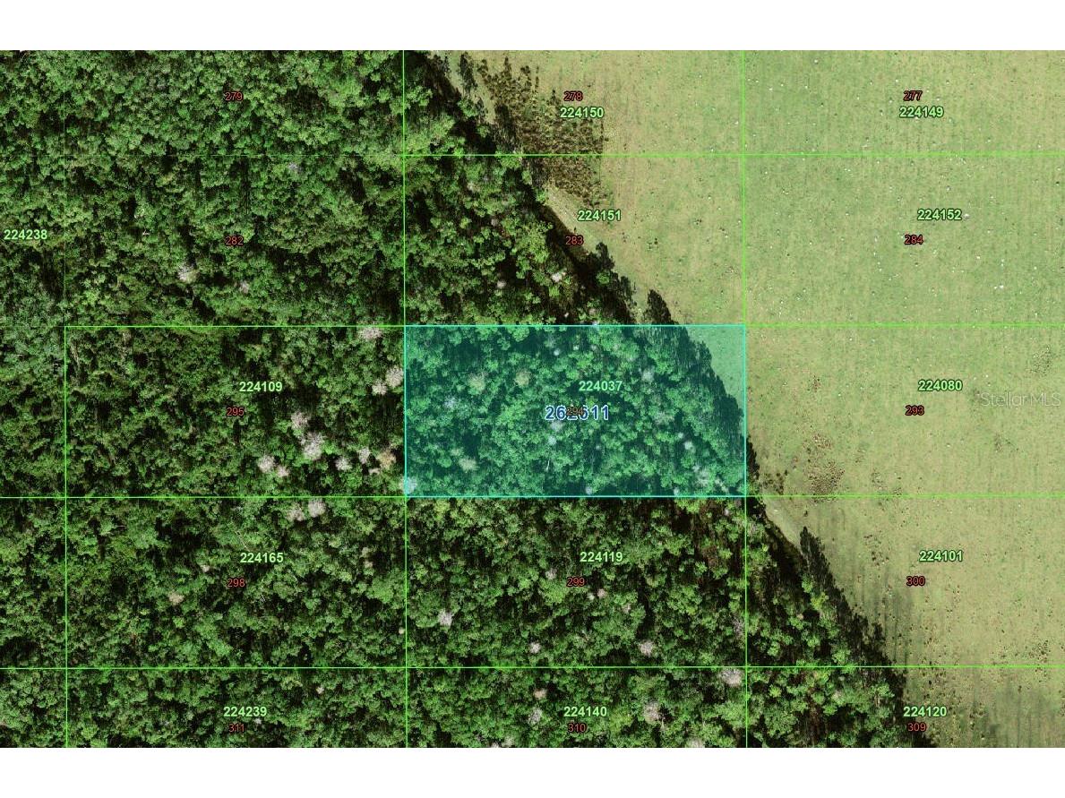 Tbd Polk City FL 33868 TB8467945 image2