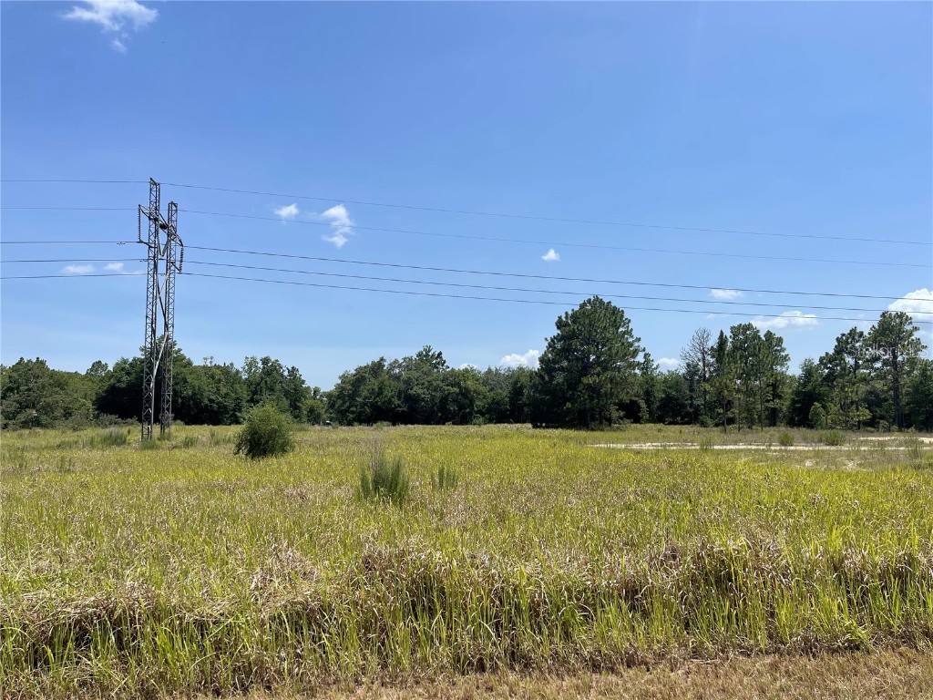 Tbd Se 113th Street Rd Ocklawaha FL 32179 OM640991 image1