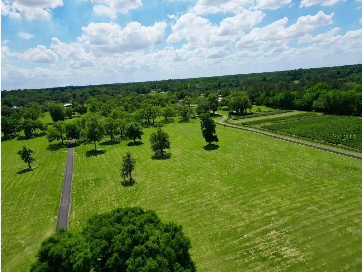 Tbd Se 115th St Belleview FL 34420 R4911336 image1