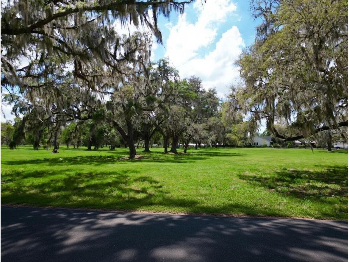 Tbd Se 115th St Belleview FL 34420 R4911336 image10