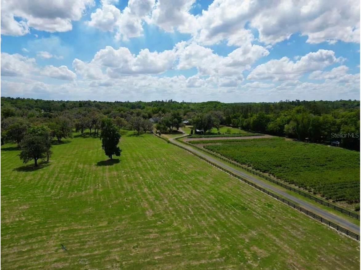 Tbd Se 115th St Belleview FL 34420 R4911336 image4