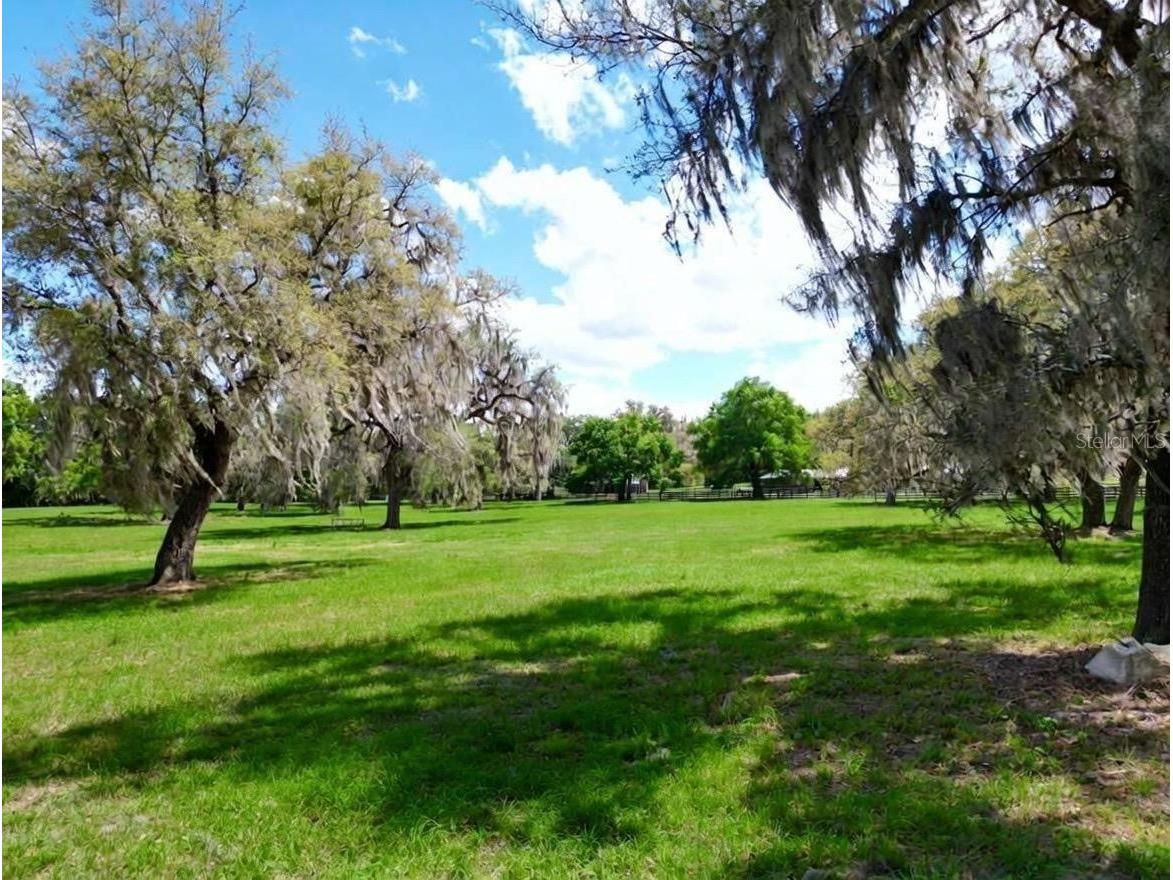 Tbd Se 115th St Belleview FL 34420 R4911336 image7